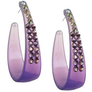 Purple Two Tone Rhinestone Hoop Earrings